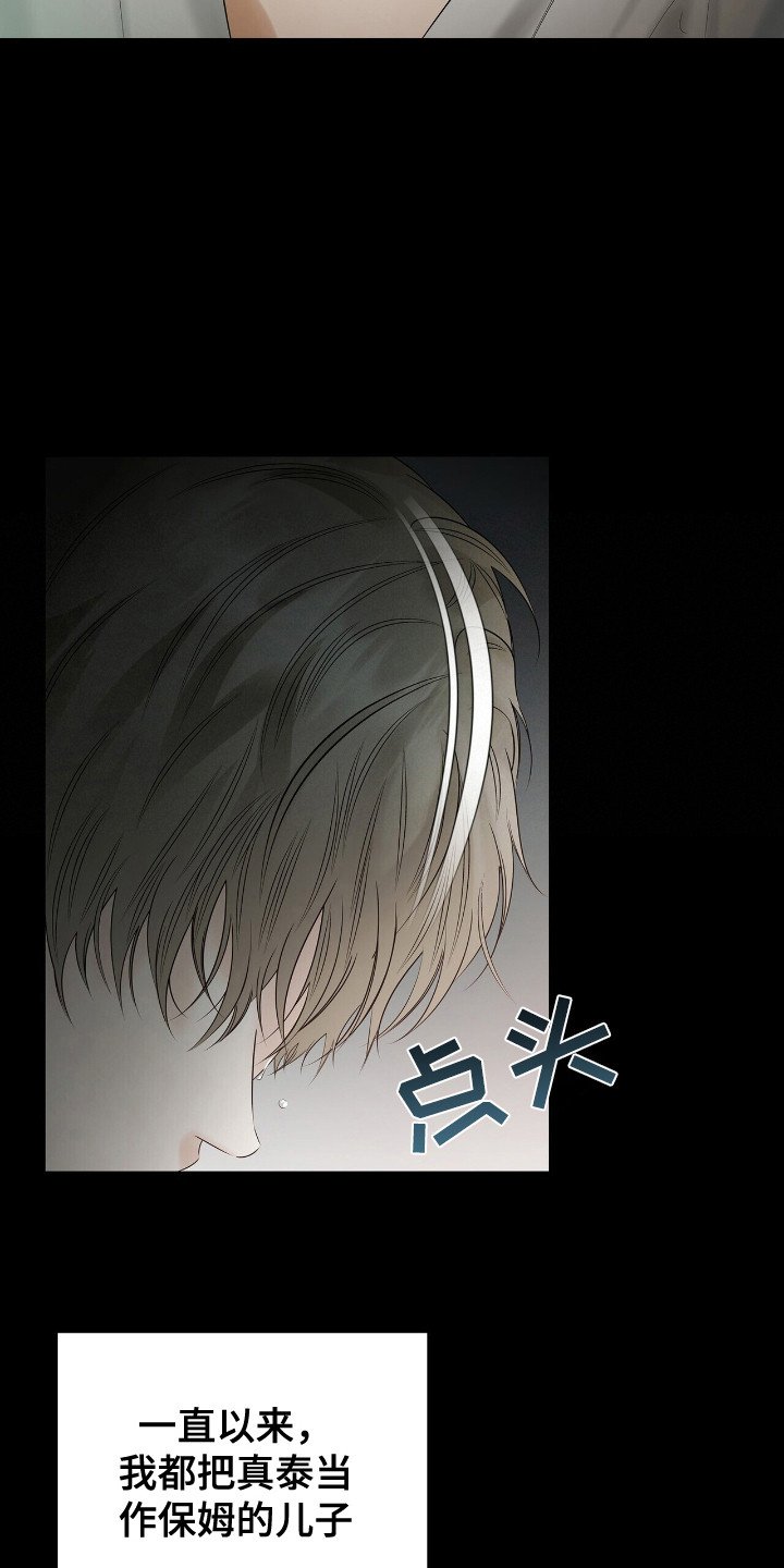 第19章：凤凰社团