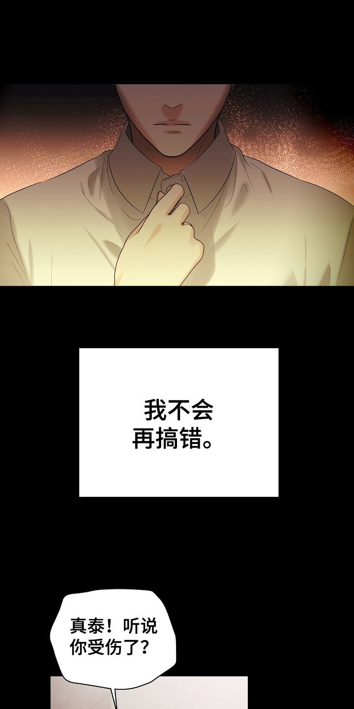第19章：凤凰社团