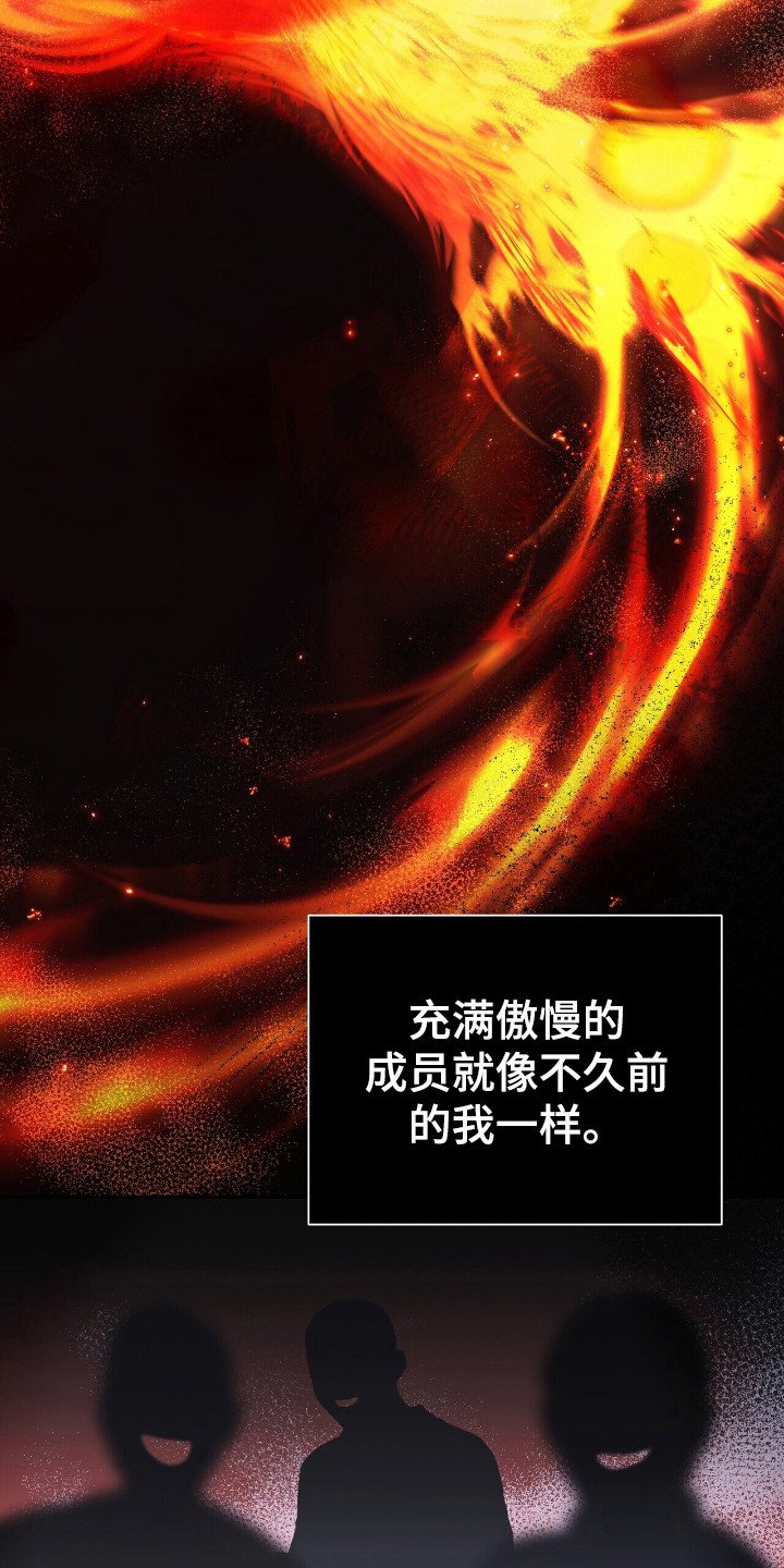 第19章：凤凰社团