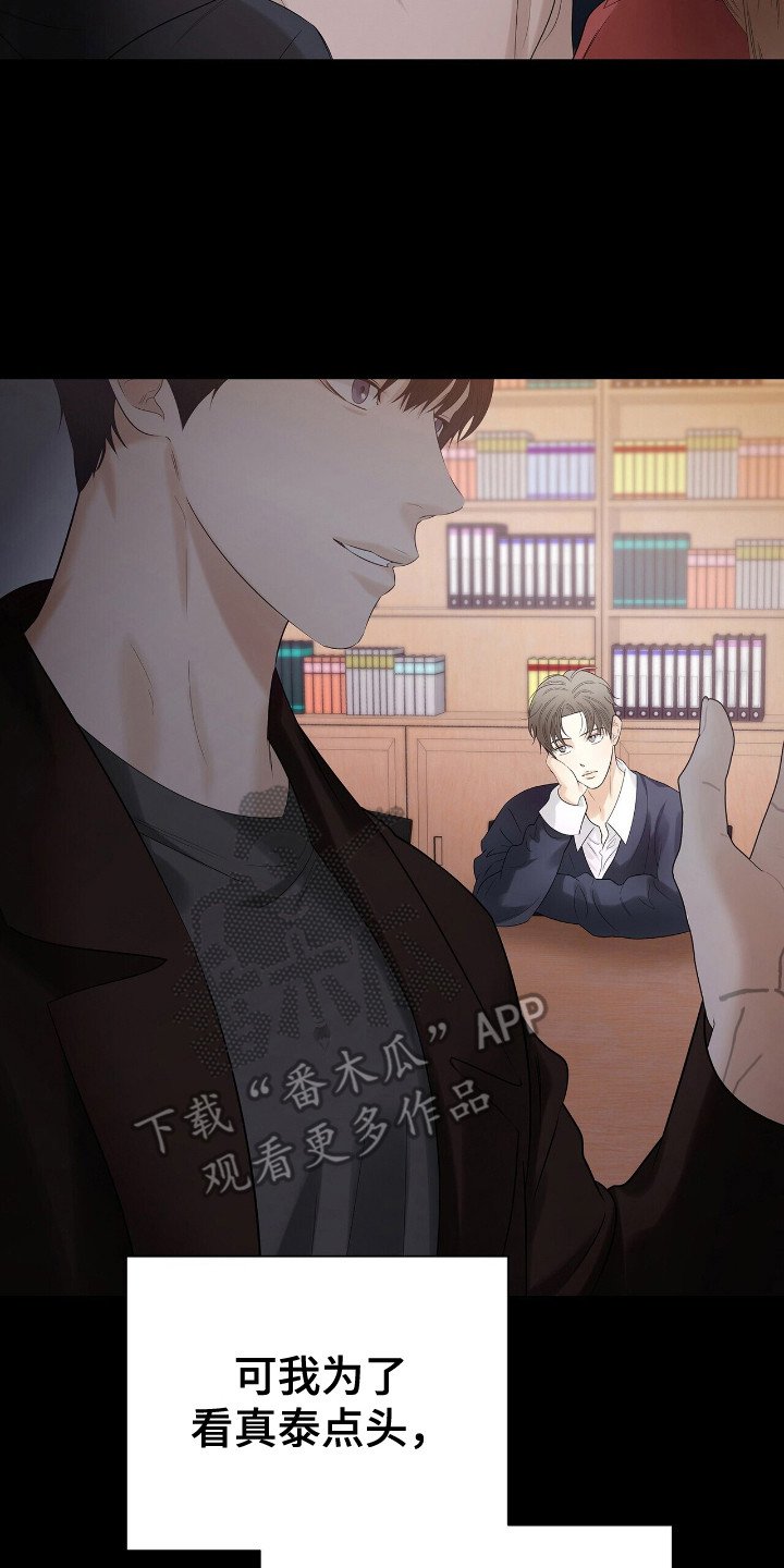 第19章：凤凰社团