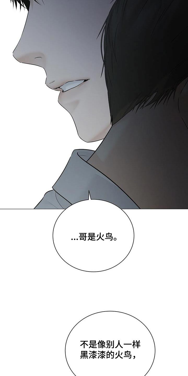 第43章：理由