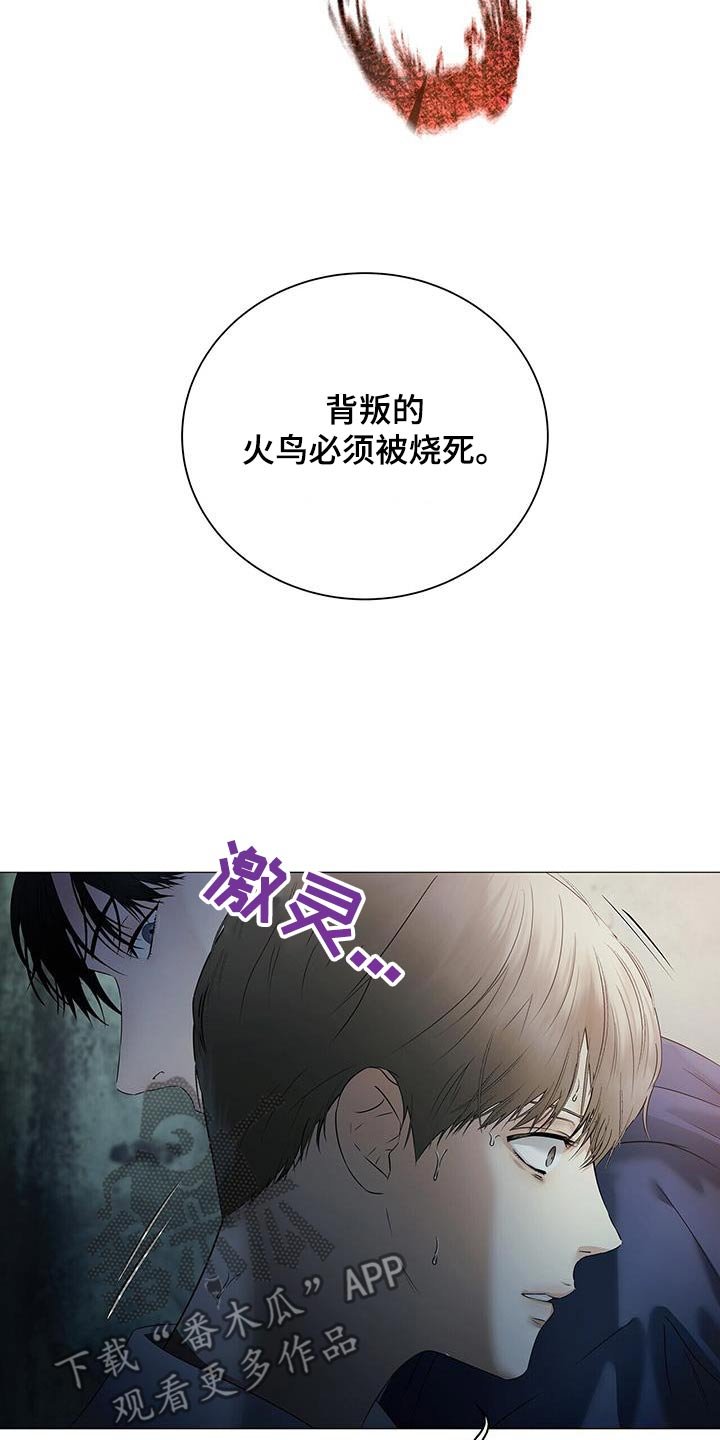 第43章：理由