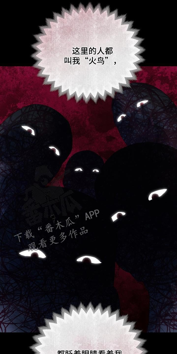 第45章：这是什么