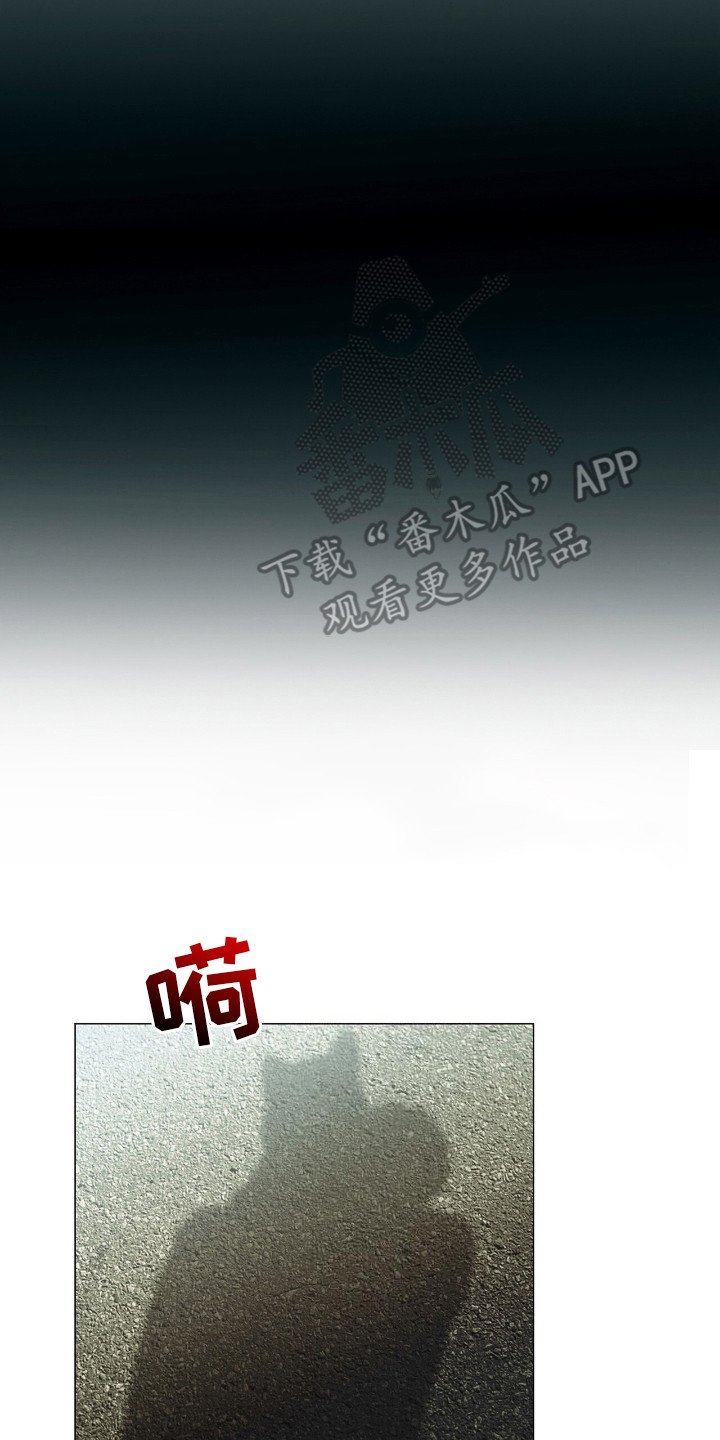 第6章：事务所