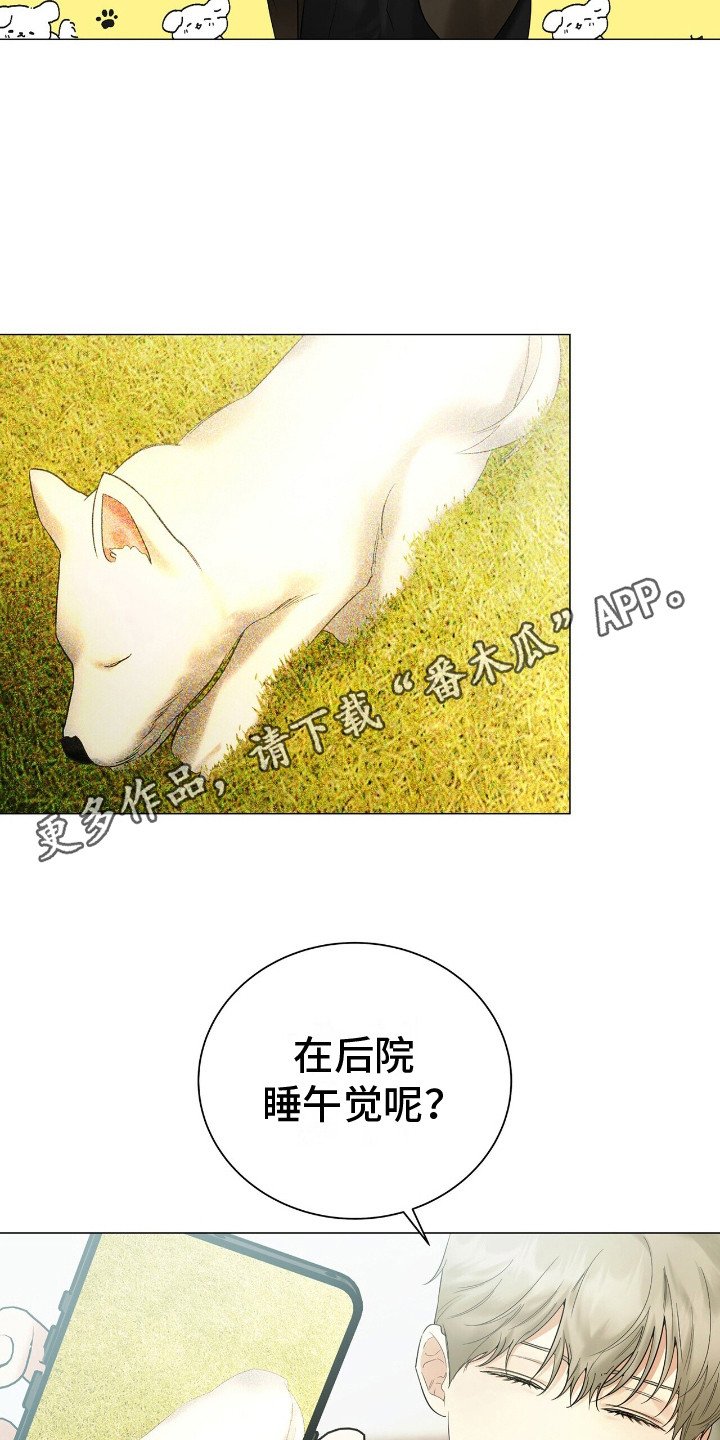 第6章：事务所