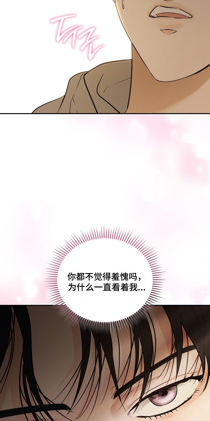 第84章：【第二季】有什么关系