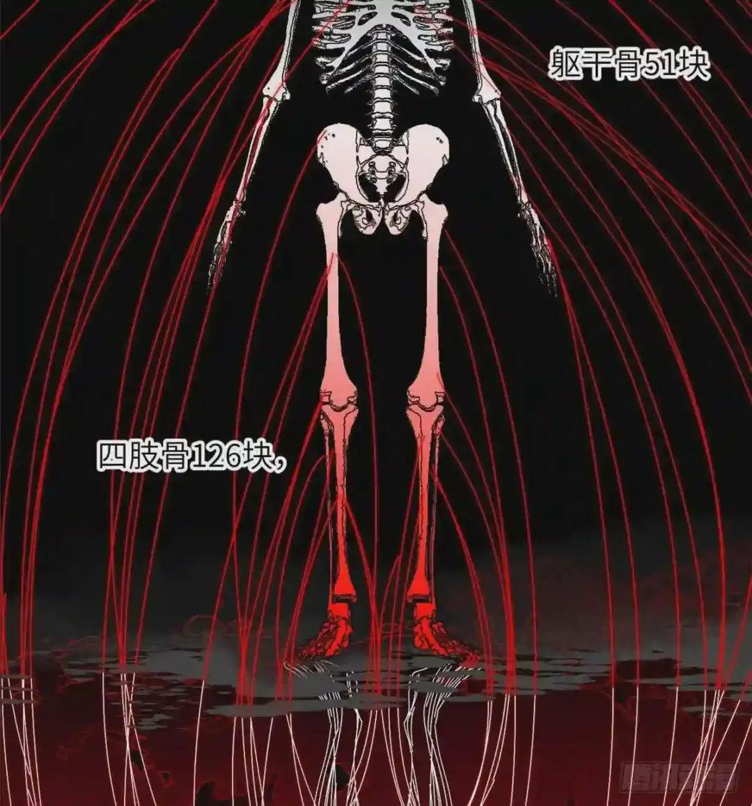 013 第一次修炼
