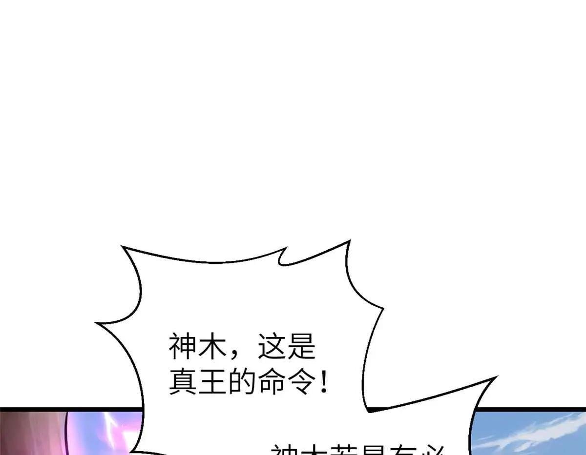 293 高品大战