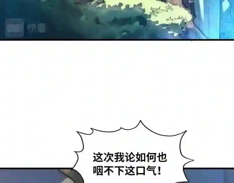 第12话 小枫林