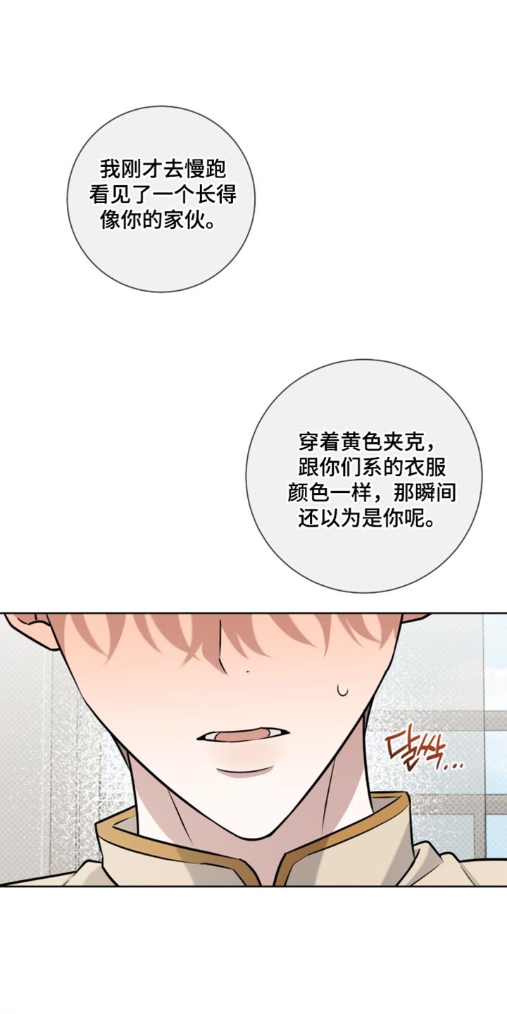 第100章：单纯的偶发事件