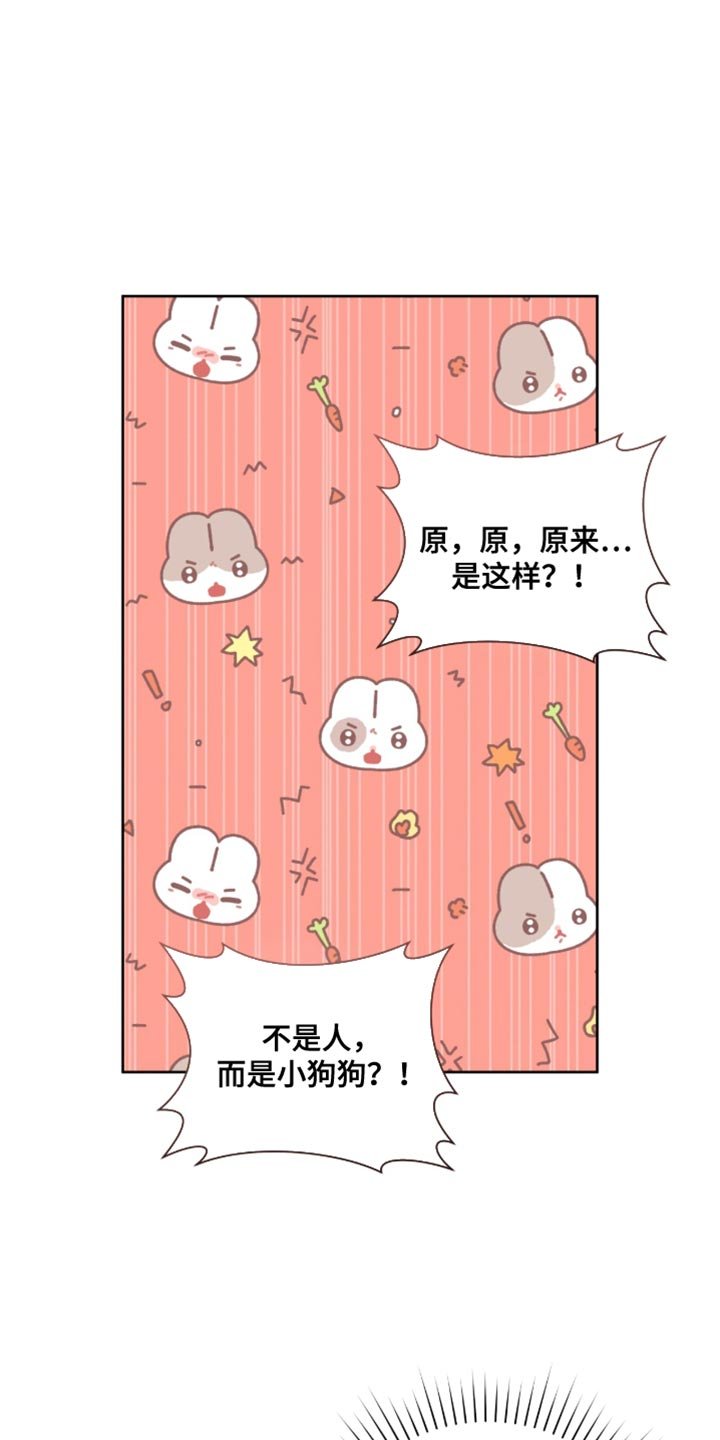 第100章：单纯的偶发事件