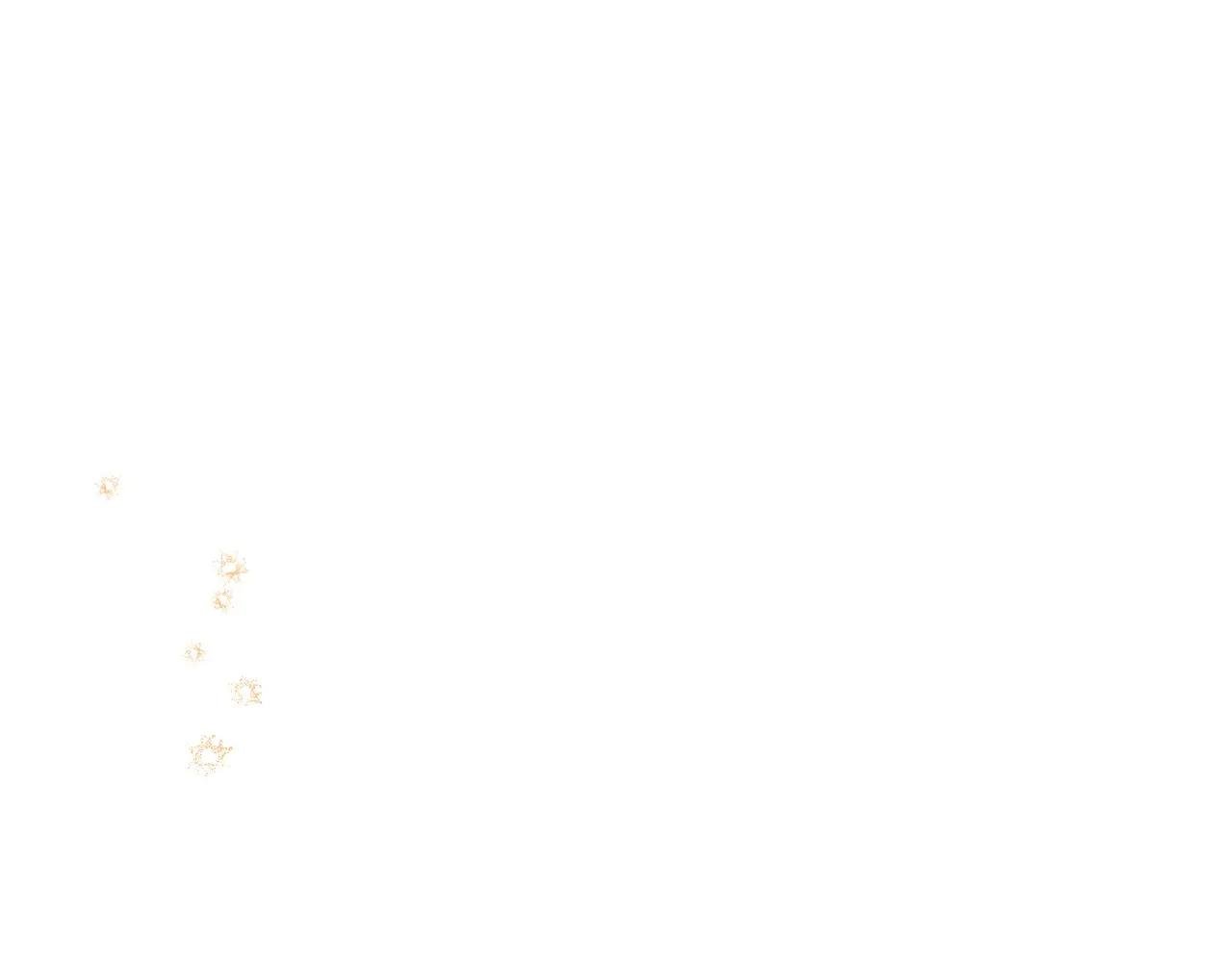 第189话 家主人选