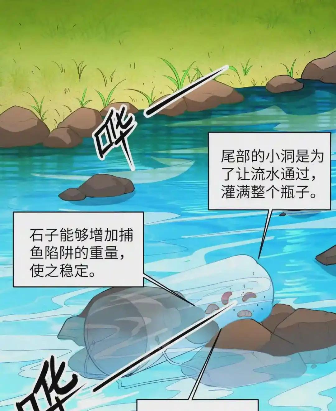 009 椰子蟹