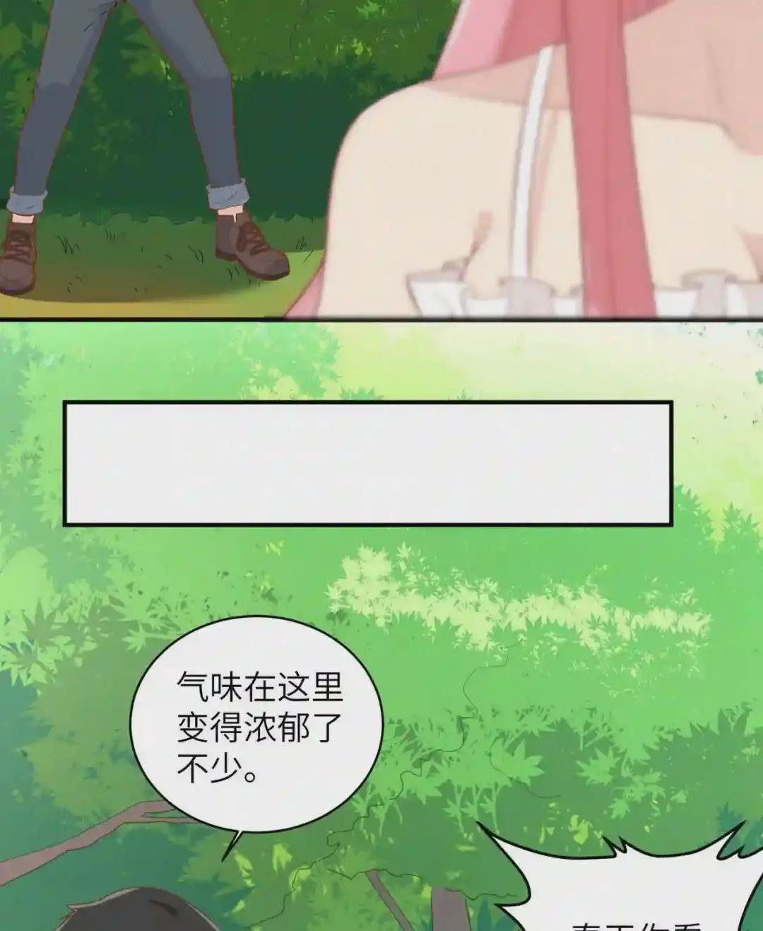 009 椰子蟹