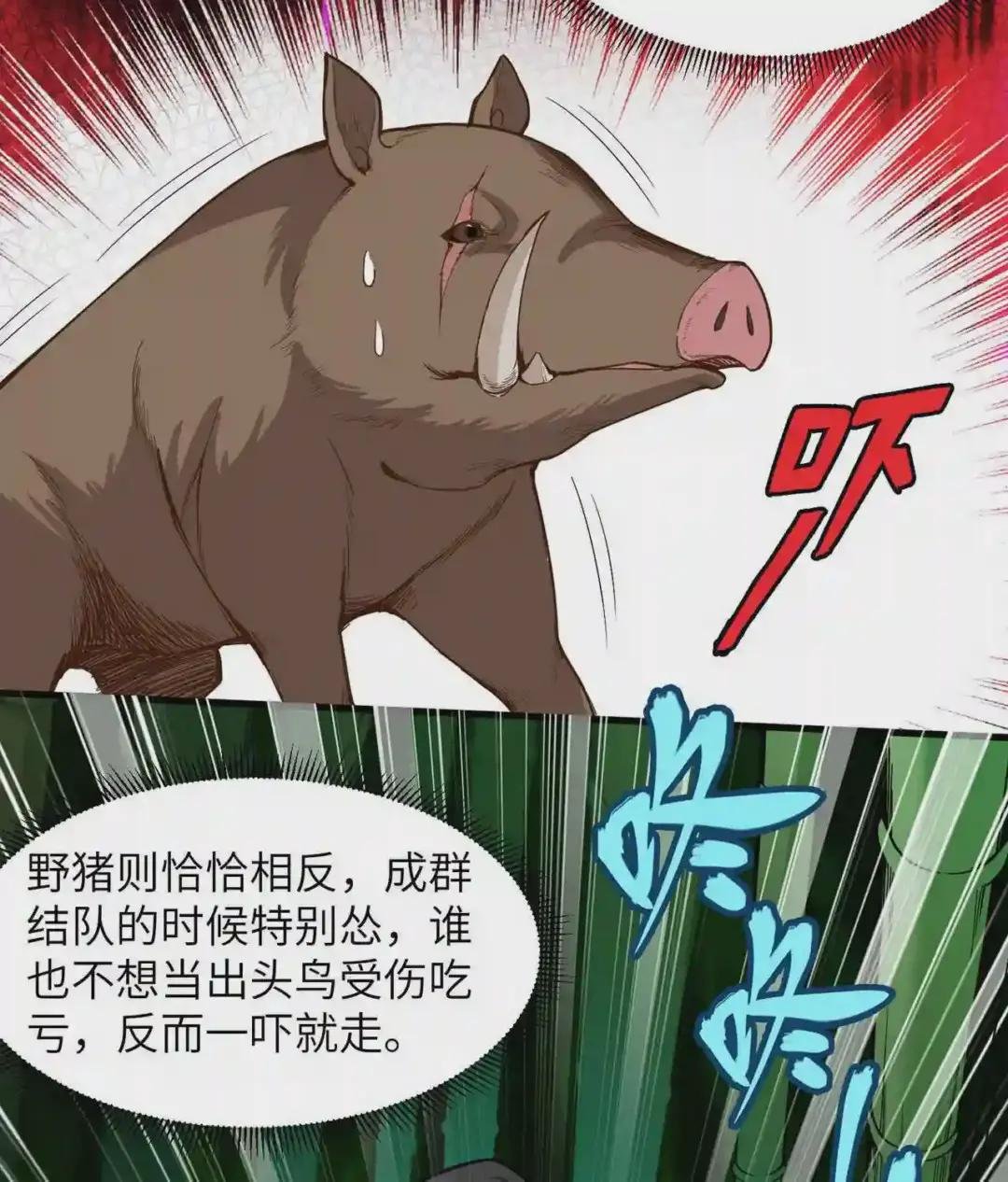 019 生死极速
