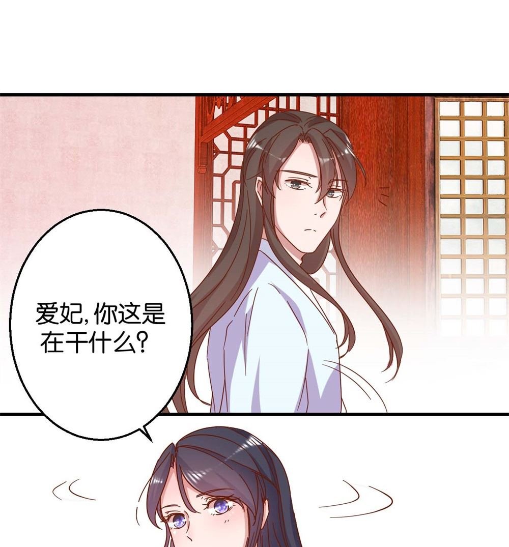 第12回 凤袍加身