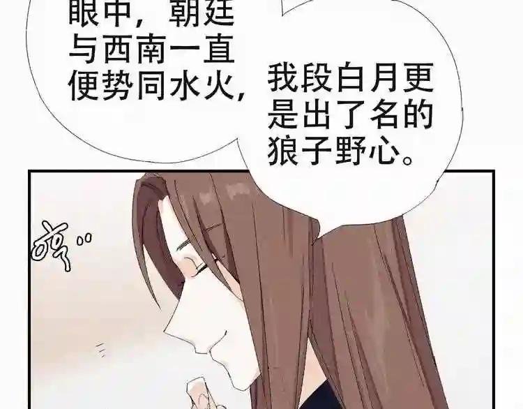 第29话 西南王的条件
