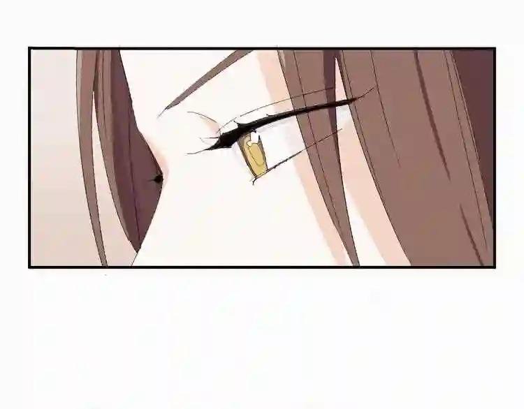 第29话 西南王的条件