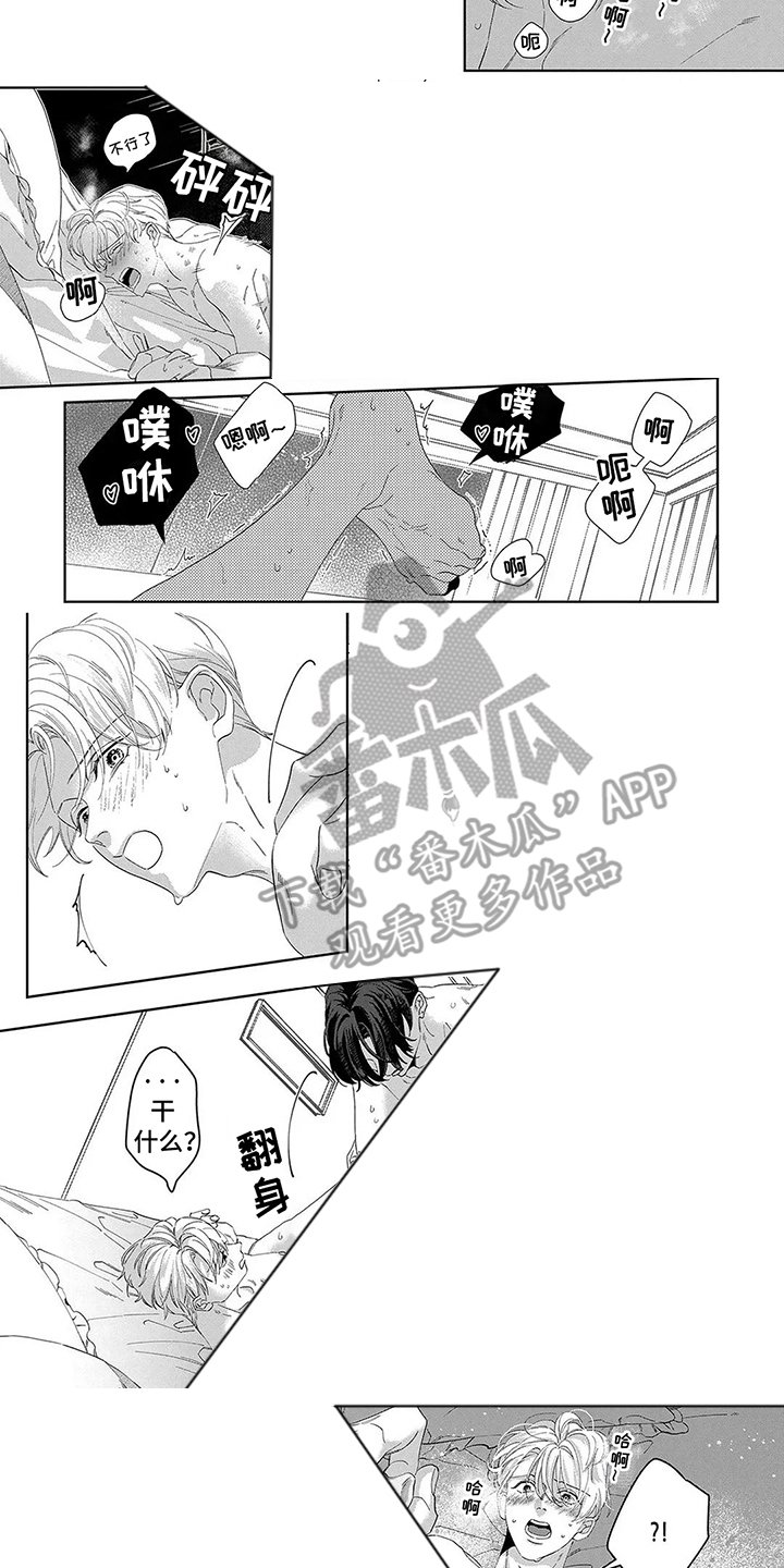 第18章：意见