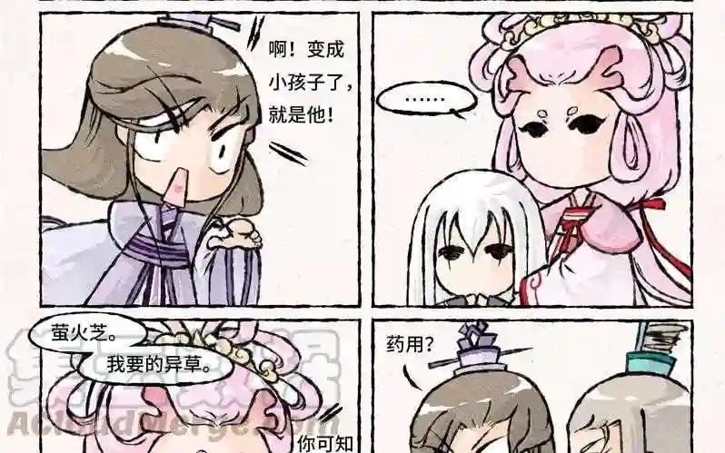 第31话 他喜欢你