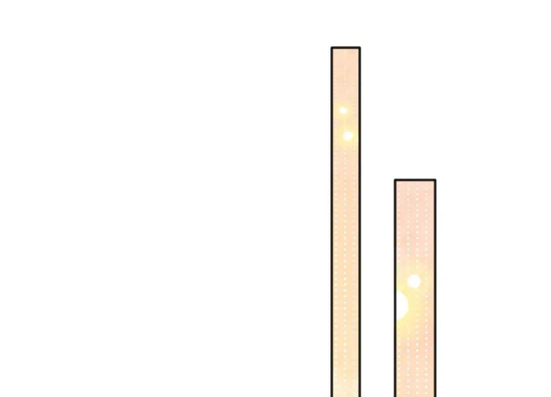 106 命运作人