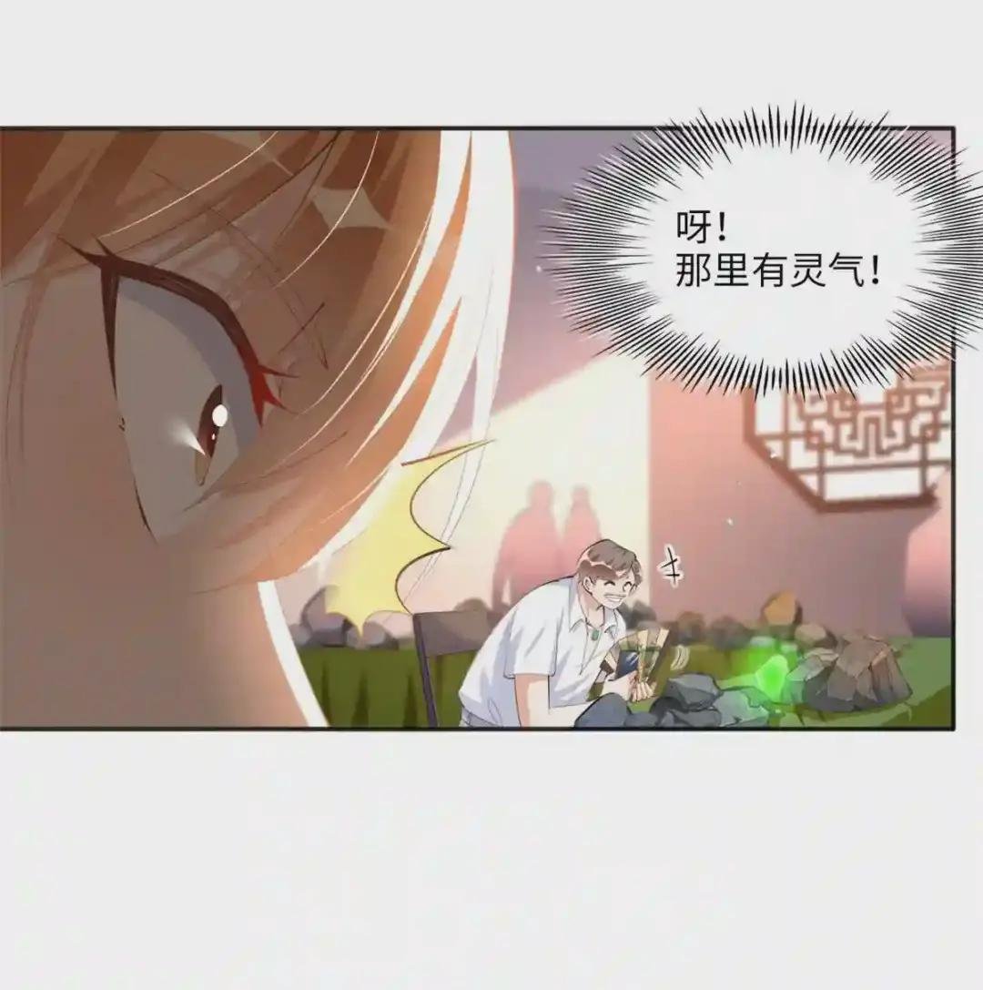019 赌石大会来了!