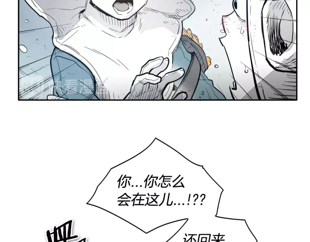 第114话 他不是新金浩？