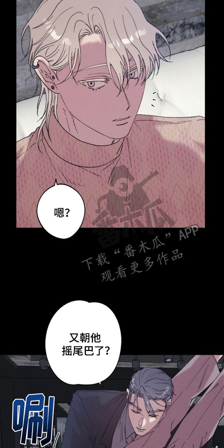 第12章：很有趣