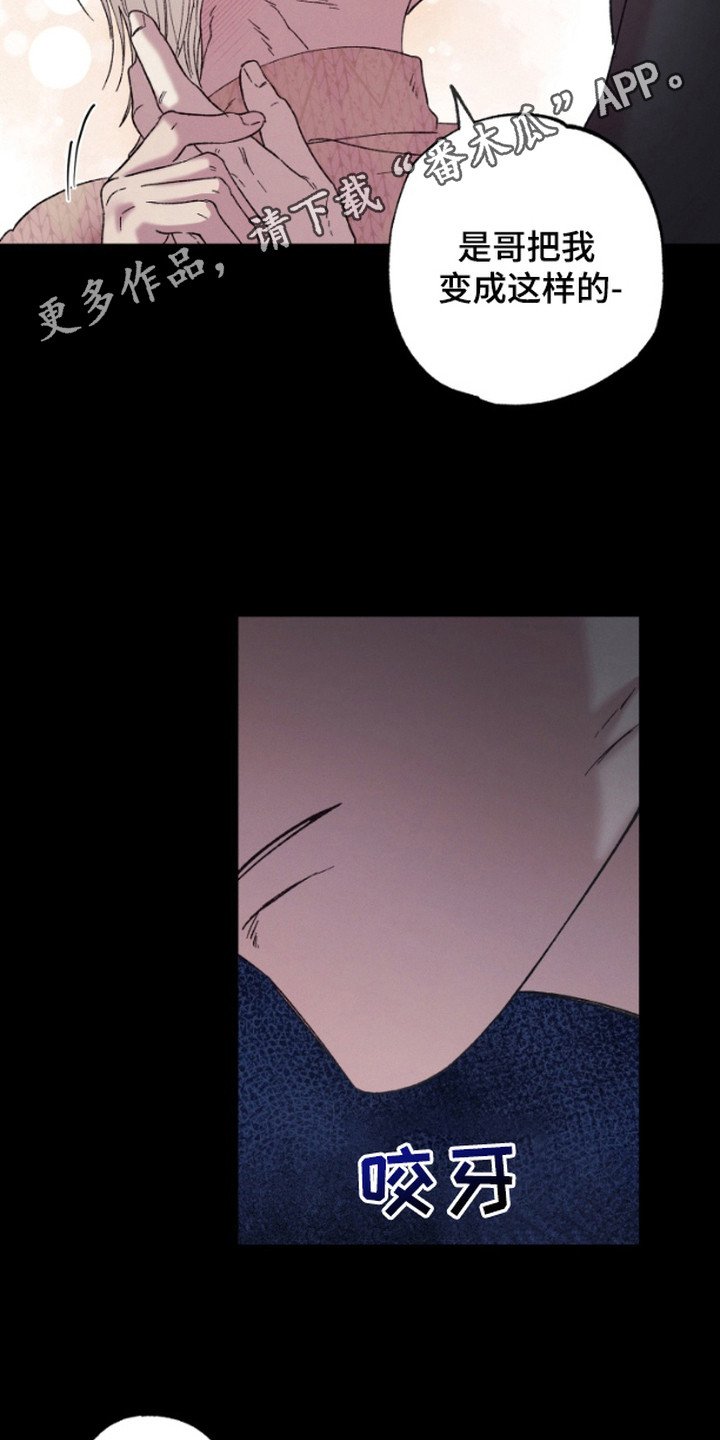 第12章：很有趣