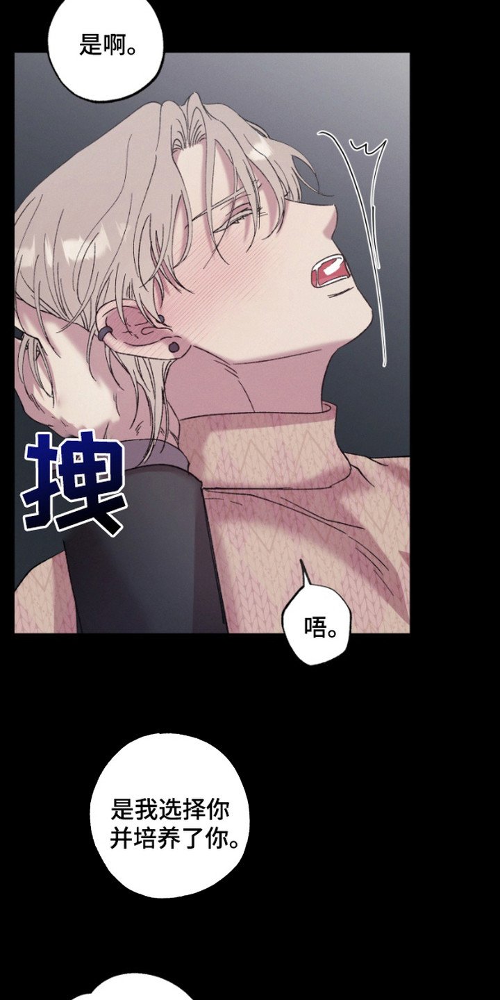 第12章：很有趣