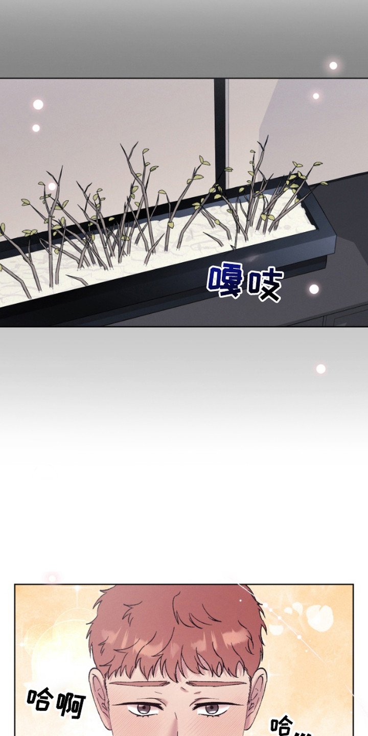 第5章：集中于我
