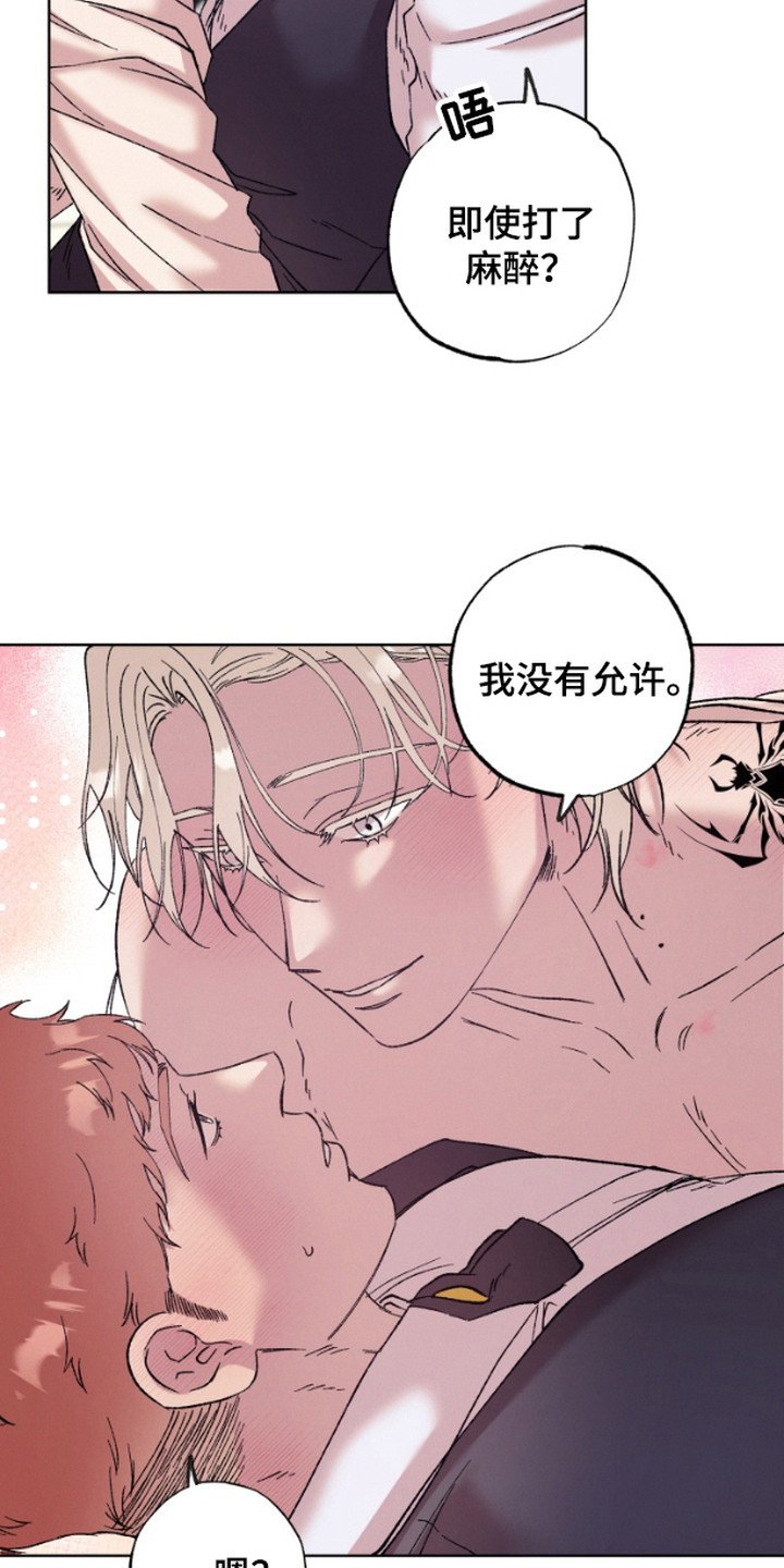 第5章：集中于我