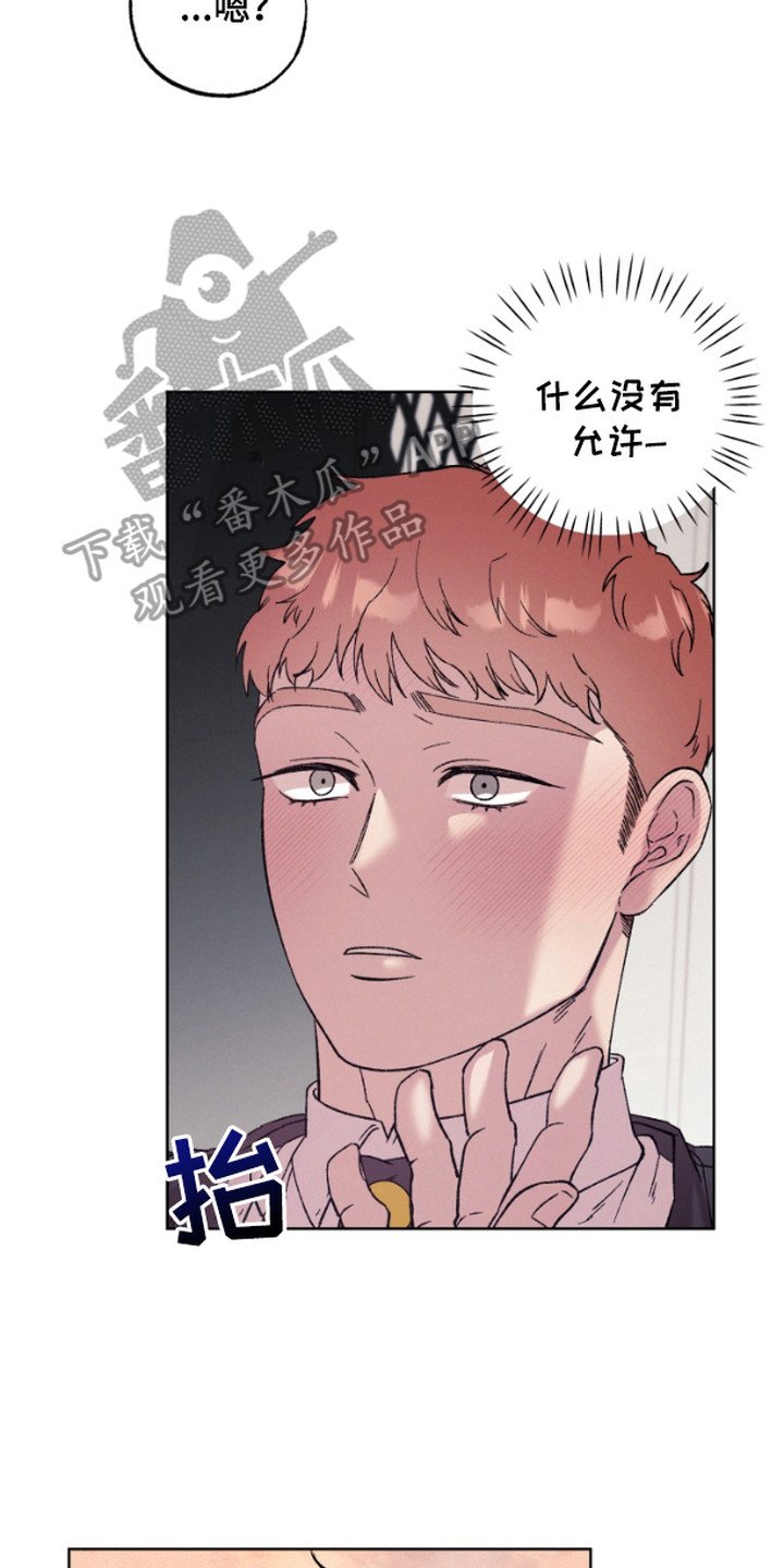 第5章：集中于我