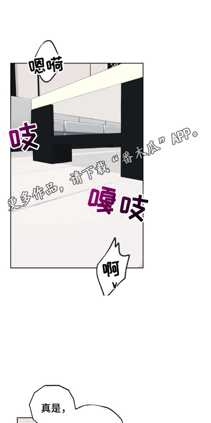 第6章：引导