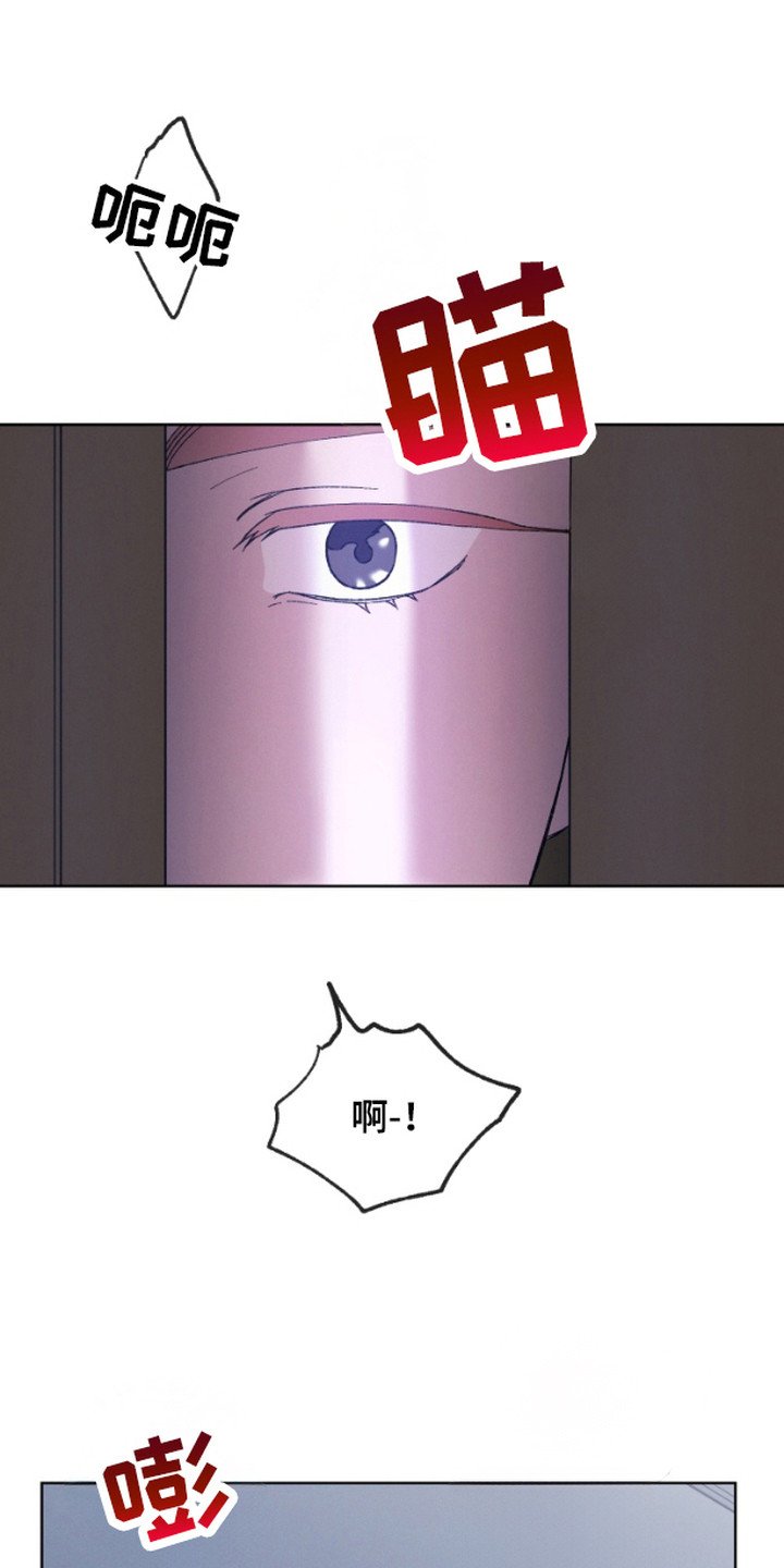 第9章：偷看