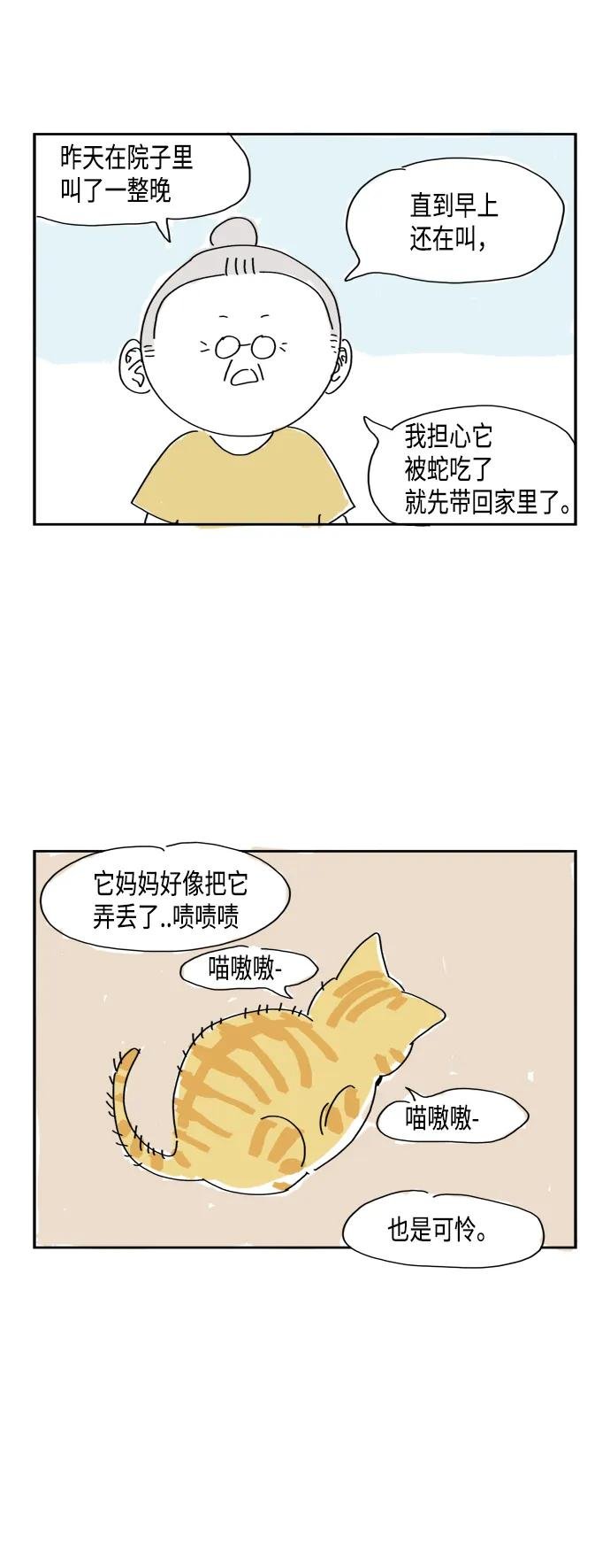 【免费】特别篇