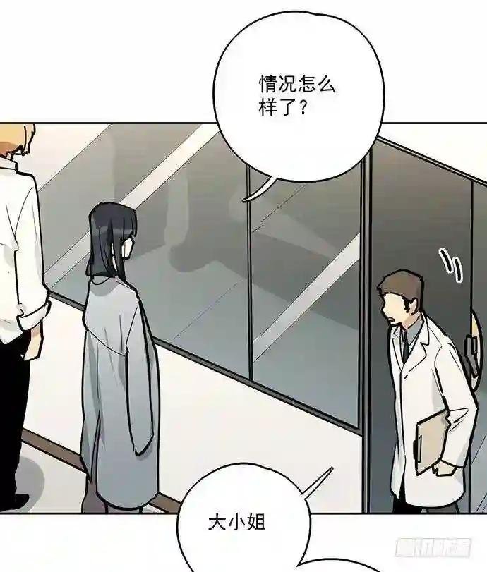 蛰伏