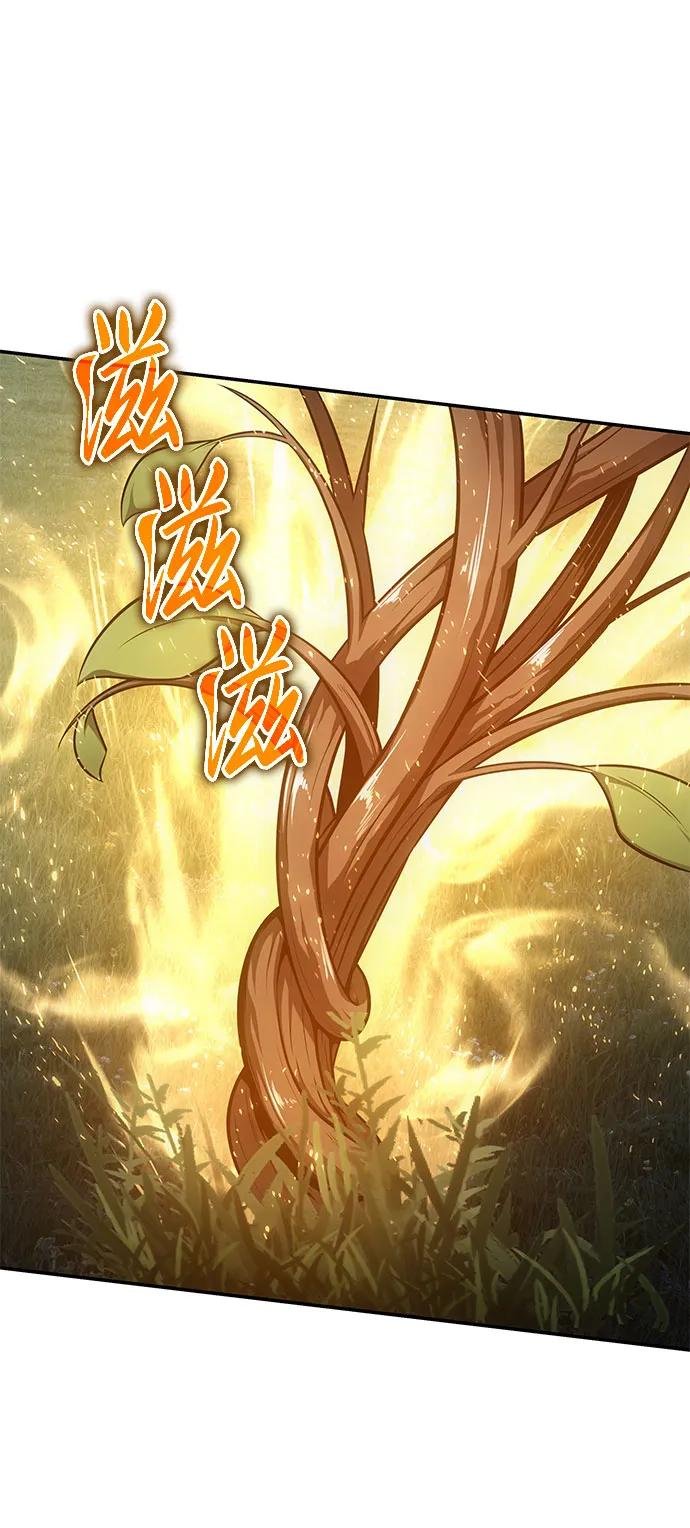 [第93话] 君拉德的树苗