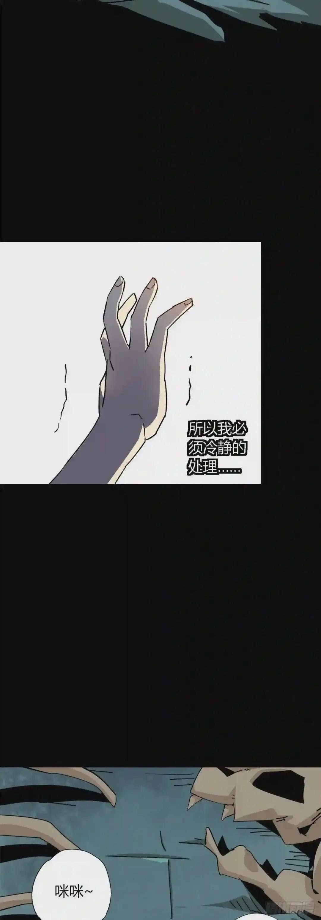 11 爱猫人士表示谴责