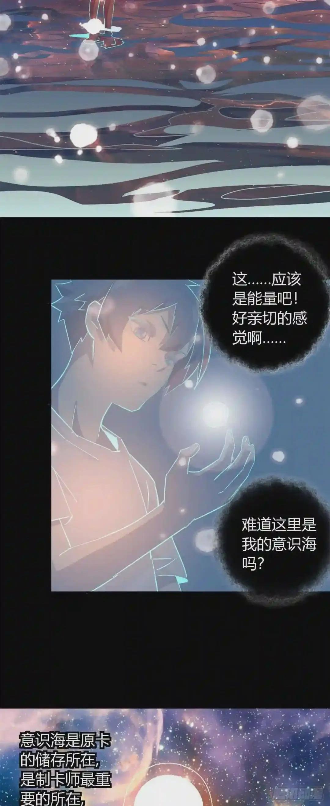 11 爱猫人士表示谴责