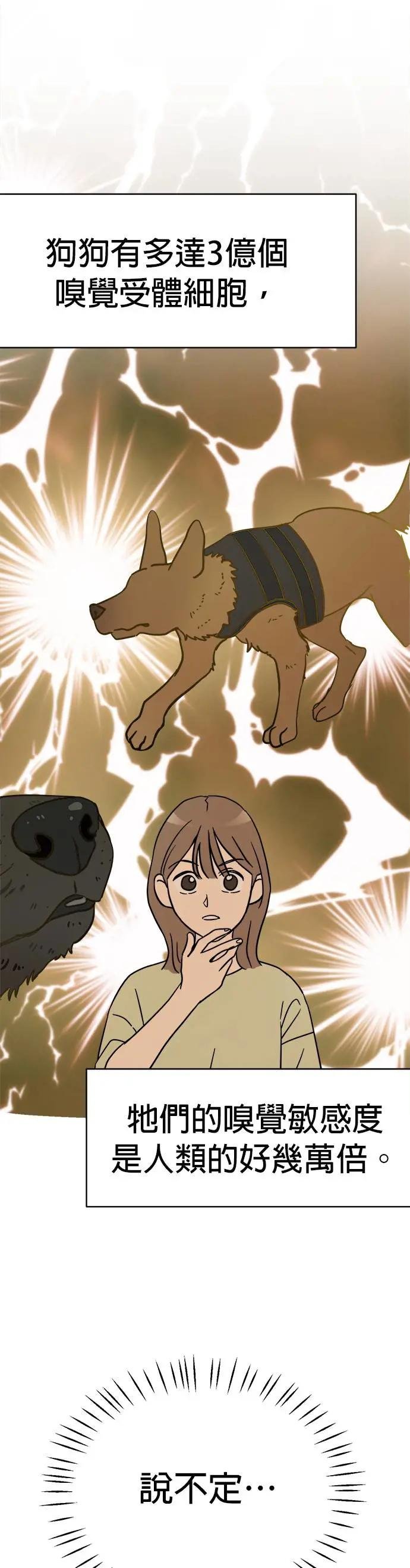 第5话 小丸搜查犬