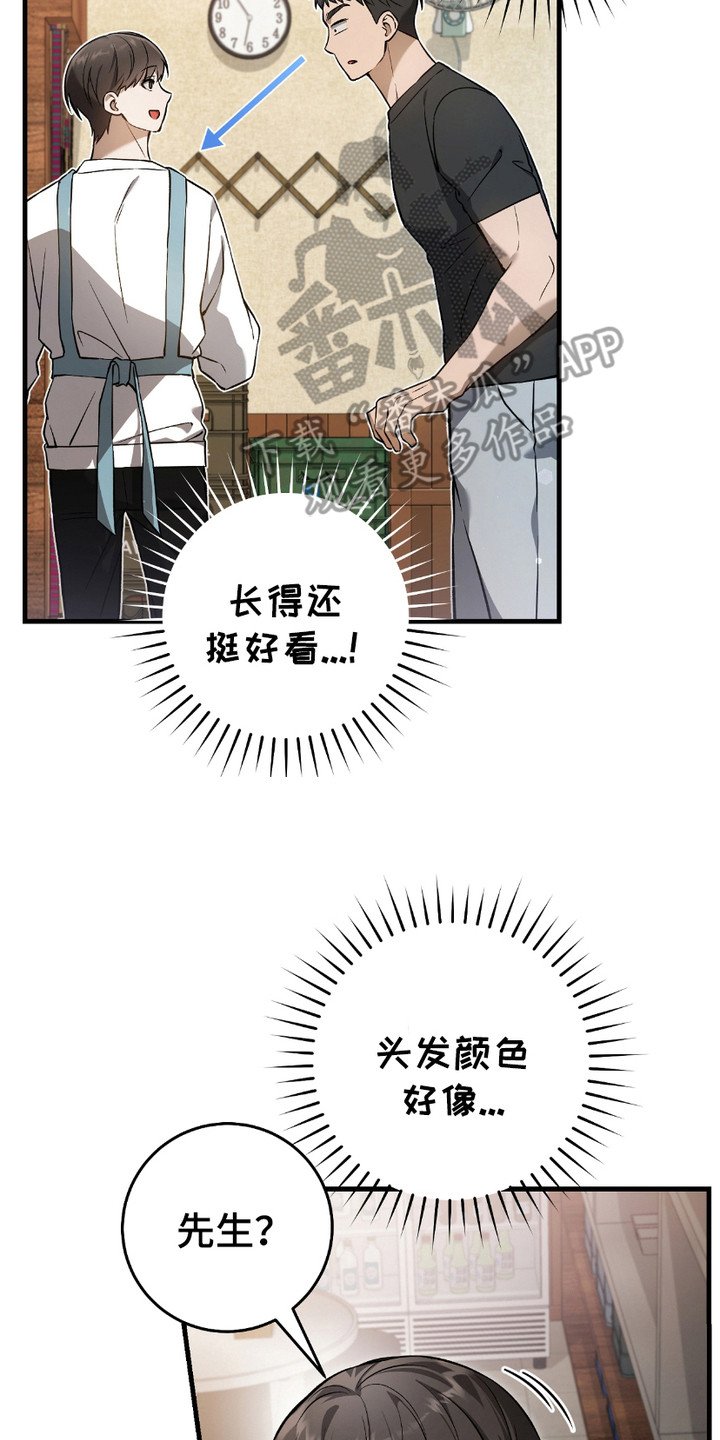 第16章：心大