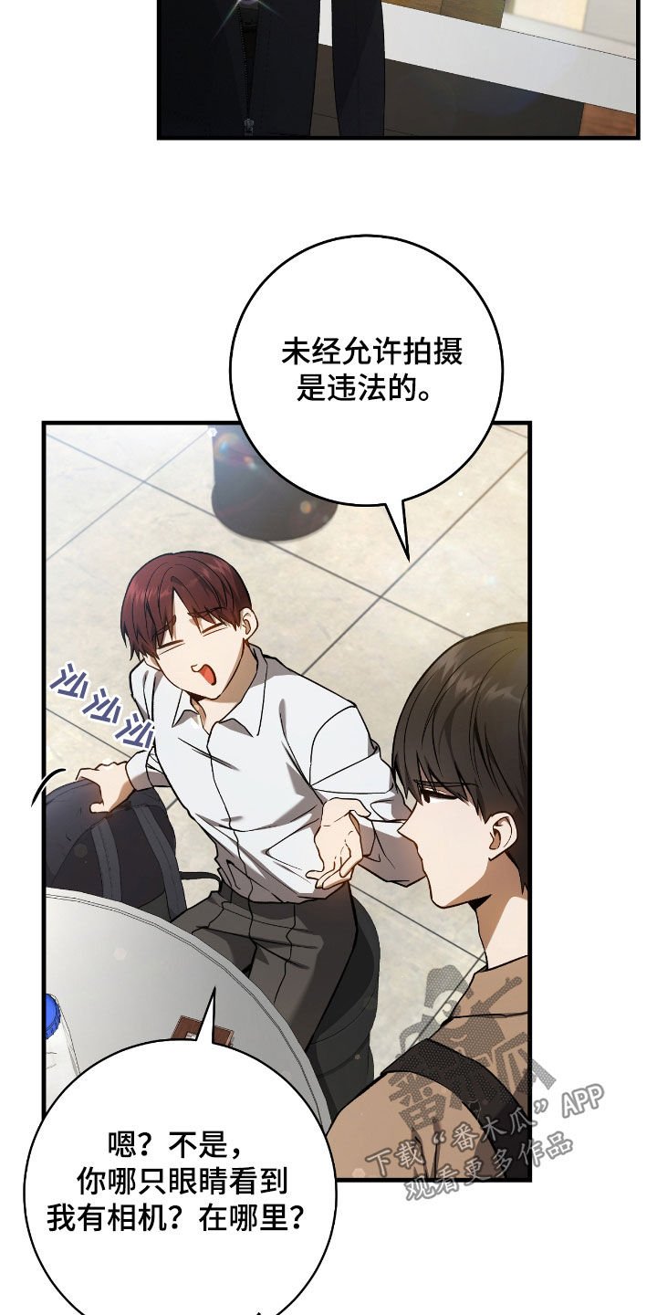 第29章：蜜蜂小姐