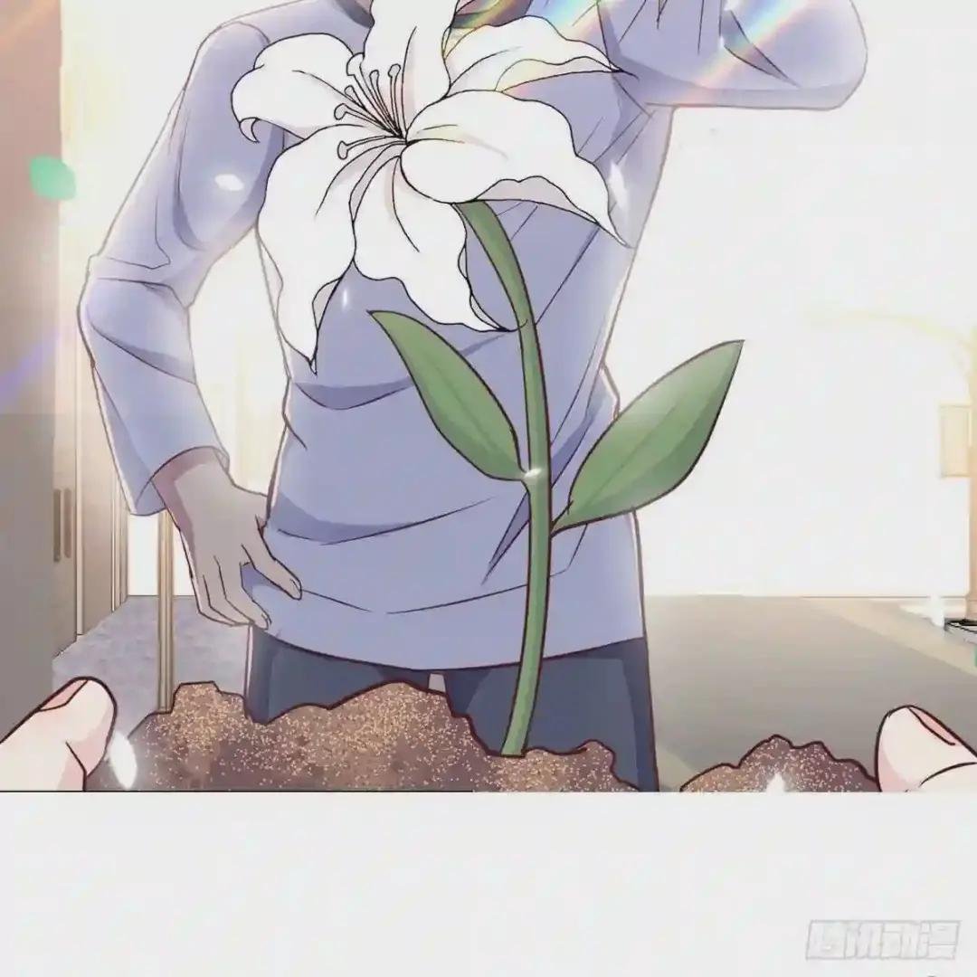 预告