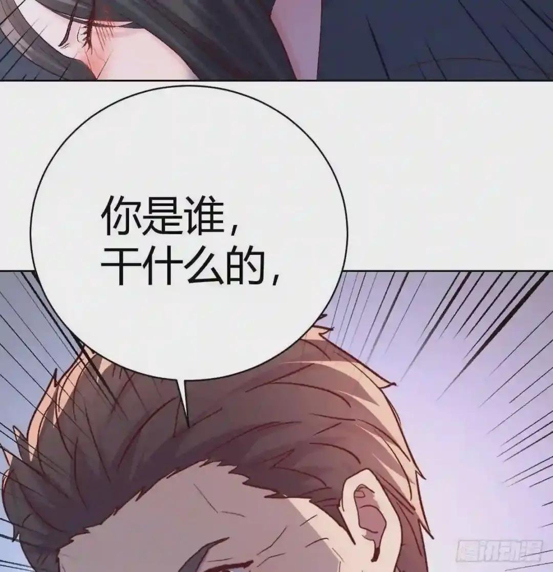 碰不起瓷的女人