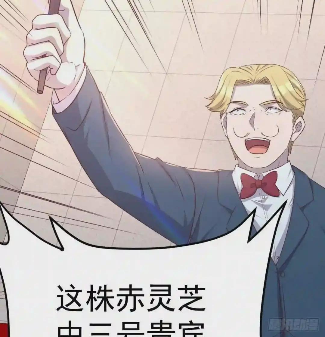 赤灵芝