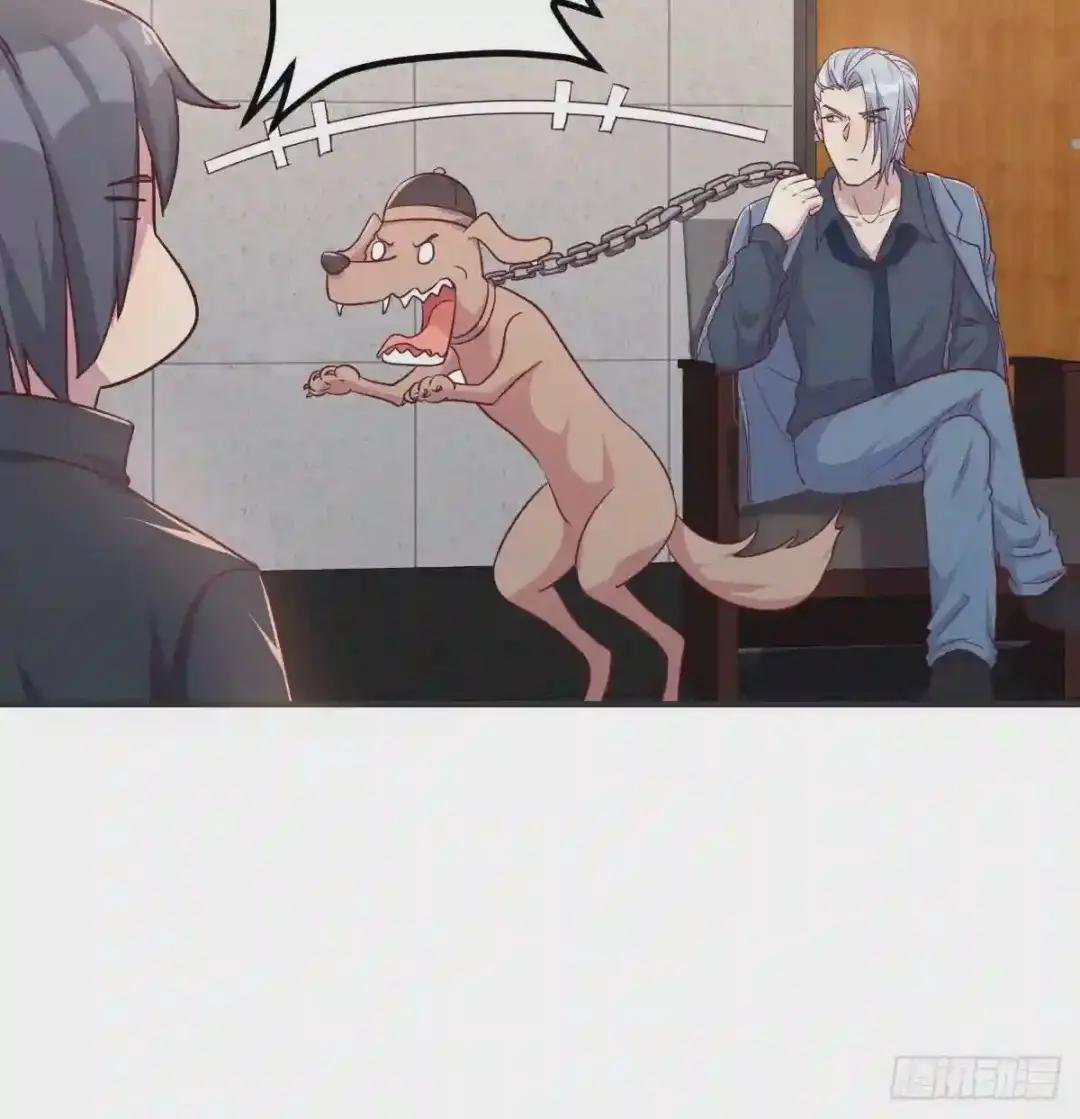 赤灵芝