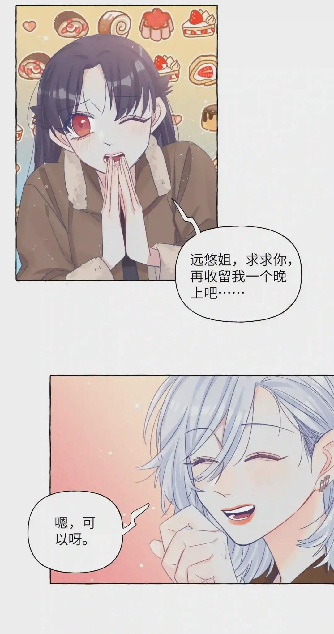 024 流浪猫的秘密
