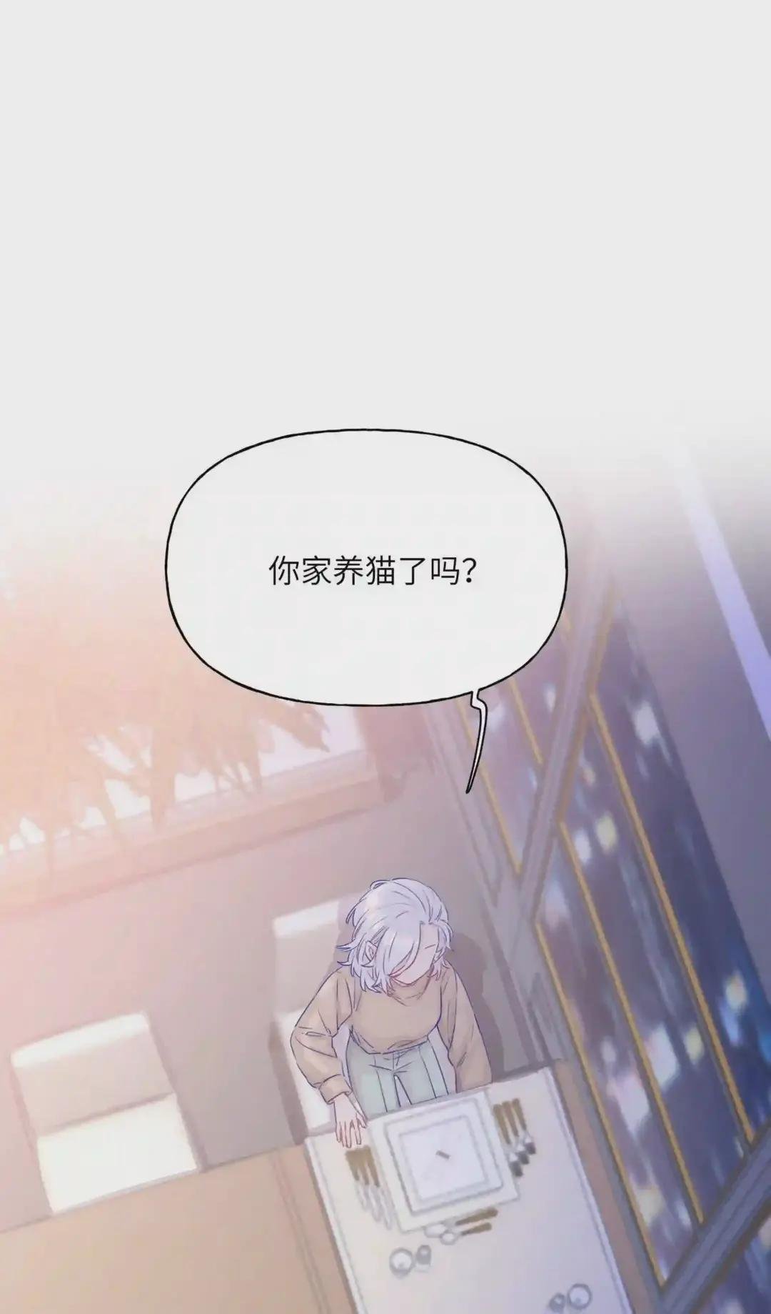 002 原来是猫啊……