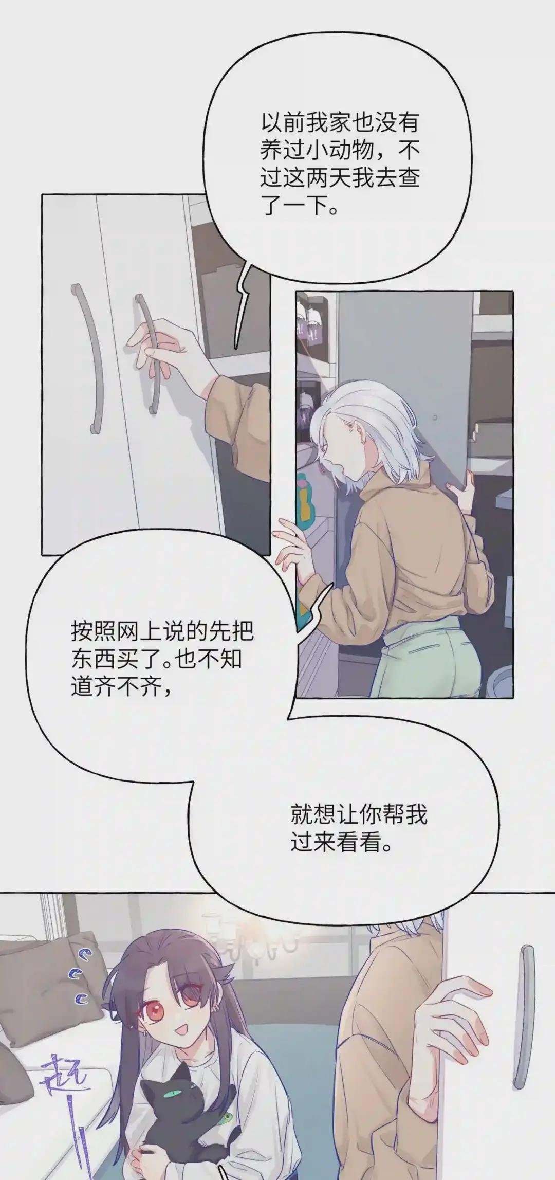 003 能成为你怀里的猫就好了